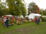 Les journ�es des plantes de Courson, automne 2012