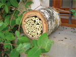 Abris pour insectes : vraiment utiles ?
