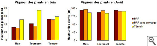 Vigueur mesurée avec ou sans BRF