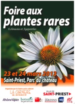 Foire aux celibataires st genis pouilly