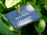 Etiquettes de jardin