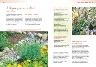 Créer un jardin de plantes médicinales