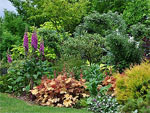 Le Jardin des Vigneaux