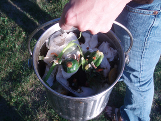 Déchets à composter