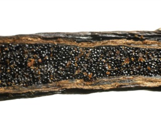Vanille - Grains et gousse