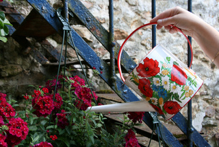Arrosage d'une jardinière au goulot de l'arrosoir