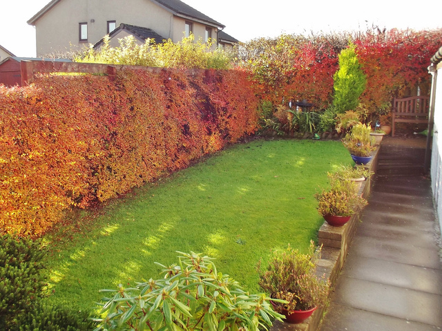 Aménager un jardin en longueur : conseils, astuces, idées de ... Amenagement jardin 100m2