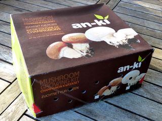 Kit champignons