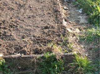 Planche surélevée au potager