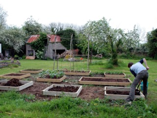 Potager en carrés