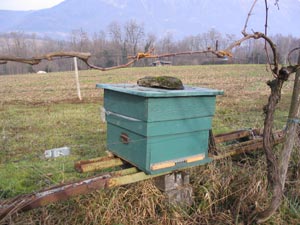 Parpaing sur une ruche. D.R. Jean-Paul Charpin Parpaing sur une ruche. D.R. Jean-Paul Charpin
