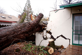 Un arbre tombé sur une maison