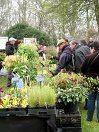 Fête des plantes