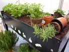 Jardinage en mars