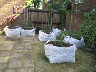 Potager urbain en sacs