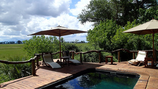 Revêtement en bois exotique - Piscine