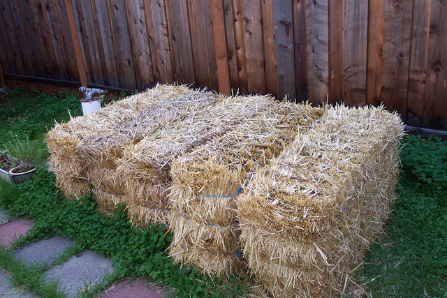 Build with straw bales