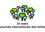 21 mars, Journée Internationale des Forêts
