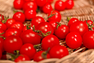 Tomate 'Cerise Rouge'