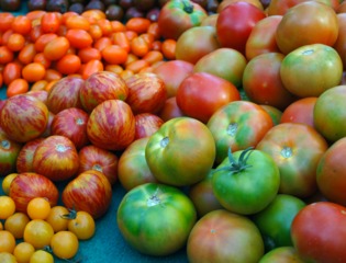 Variétés de tomates