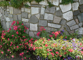 Mur de pierre fleuri à son pied