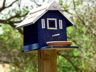 Abri pour oiseaux