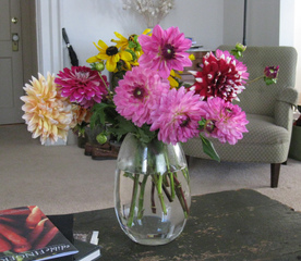 Bouquet de dahlias