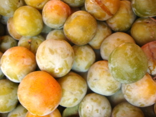 Prune Reine-Claude dorée