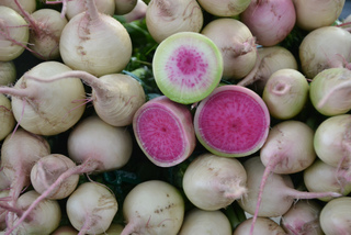 Radis asiatique 'Red Meat'