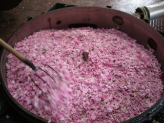 Extraction des substances aromatiques de pétales de rose
