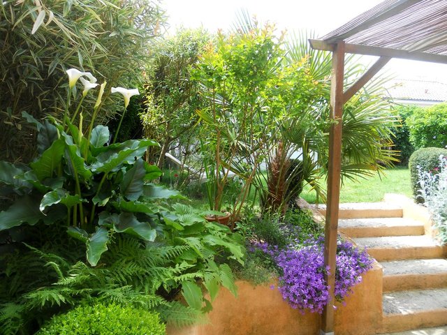 Aménager un jardin en longueur : conseils, astuces, idées de ... Amenagement jardin 100m2