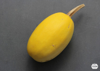 Courge spaghetti Courge spaghetti