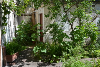 Petit jardin de copropriété - Gare à l'ombrage !