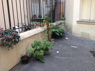 Quelques pots dans une cour d'immeuble
