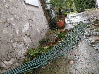Treillage arraché par le vent