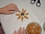 Etoile de Noël