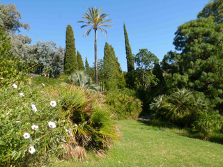 Jardin d'Amérique subtropicale