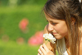 Respirer le parfum d'une rose