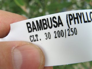 Etiquette de bambou