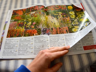 Choisir ses végétaux dans les catalogues
