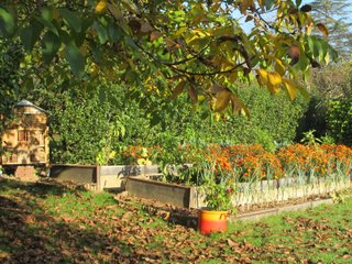 Concours photos 2014 : jardin d'Yveline