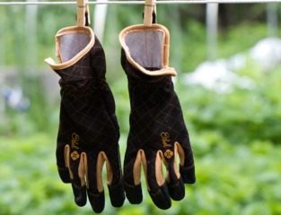 Gants de jardinage