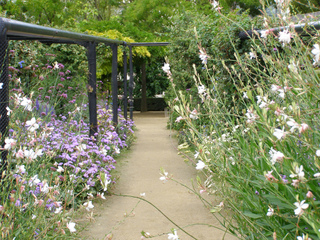 Jardin bleu et blanc