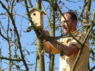 Installation d'un nichoir pour oiseaux