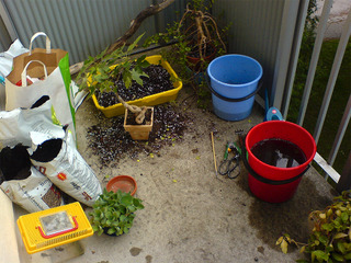 Plantations sur le balcon