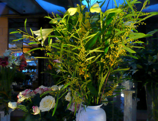 Bouqquet de mimosa en octobre