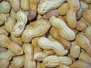 Graines d'arachides dans leur coque, séchées