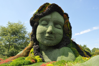 Oeuvre monumentale en mosaïculture 3D
