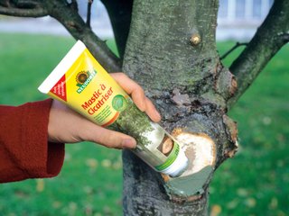 Mastic à cicatriser