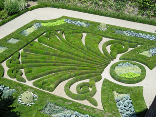 Parterre de borderie (Palais de la Berbie)